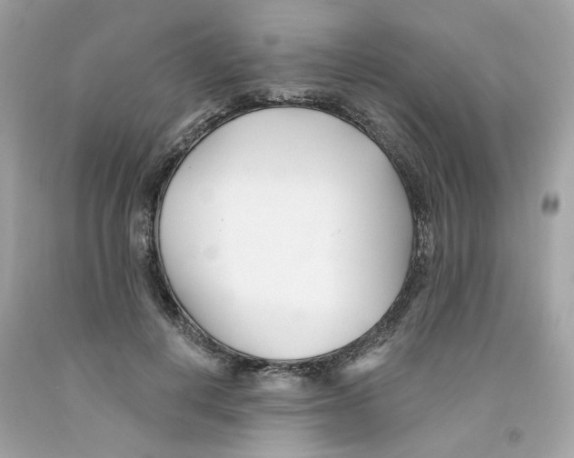 X0000091070648200709041220