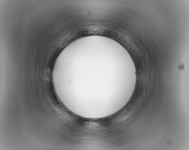 X0000091070649200709041220