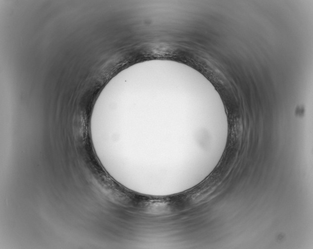 X0000091070651200709041220