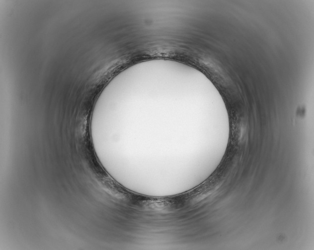 X0000091070652200709041220