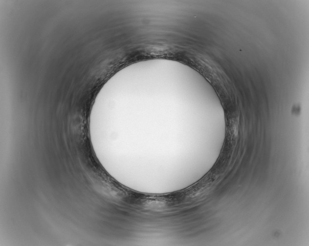 X0000091070653200709041220