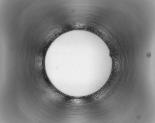 X0000091070654200709041220
