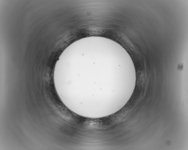 X0000091070655200709041220