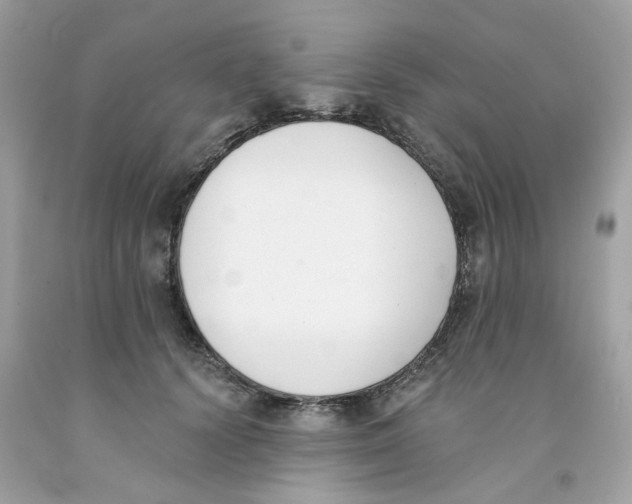X0000091070656200709041220