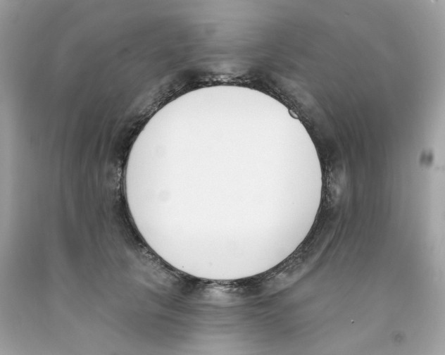 X0000091070657200709041220