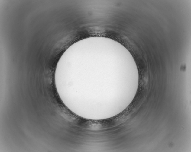 X0000091070658200709041220