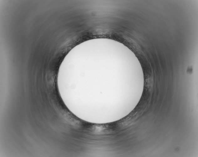 X0000091070662200709041220