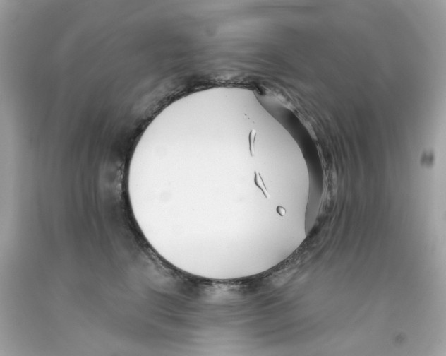 X0000091070664200709041220