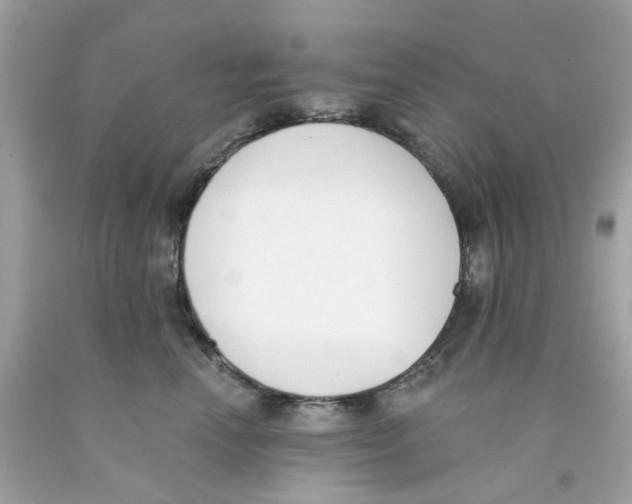 X0000091070666200709041220
