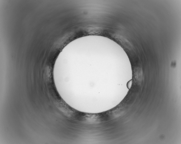 X0000091070667200709041220
