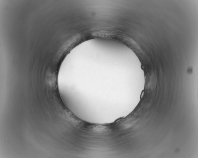 X0000091070669200709041220