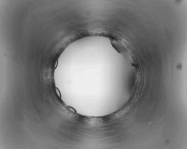 X0000091070670200709041220