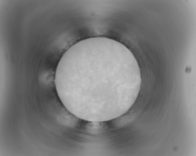 X0000091070672200709041221