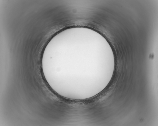 X0000091070673200709041220