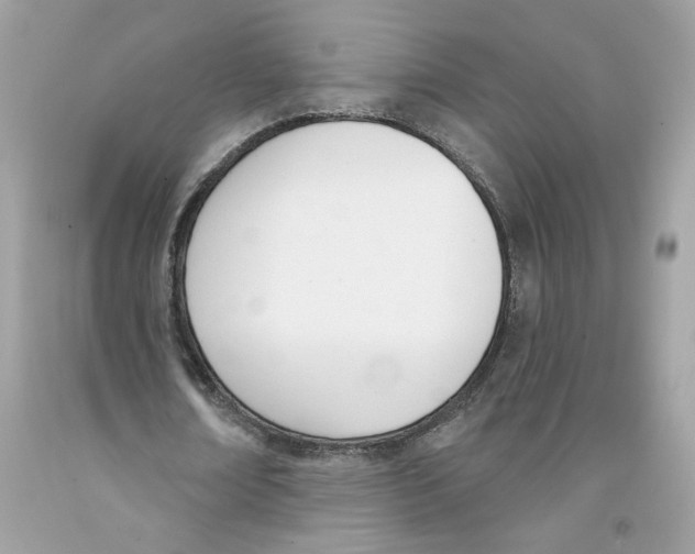 X0000091070674200709041220