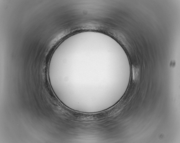 X0000091070675200709041220