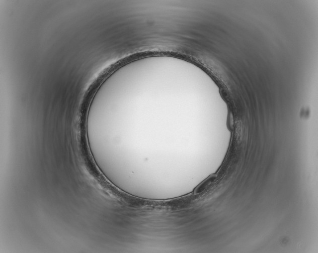 X0000091070676200709041220