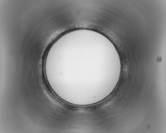 X0000091070678200709041220