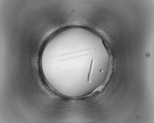 X0000091070680200709041220