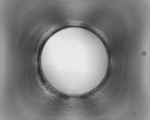 X0000091070682200709041220