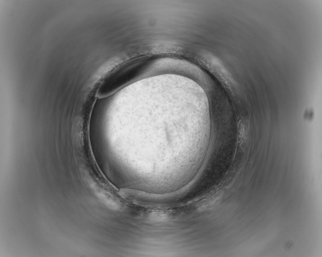 X0000091070684200709041220