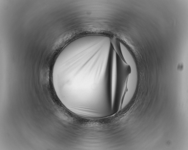 X0000091070685200709041220