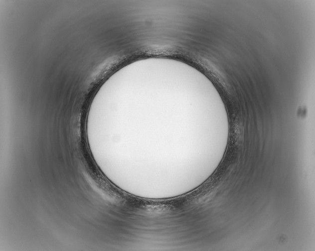 X0000091070686200709041220