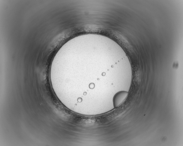 X0000091070687200709041220