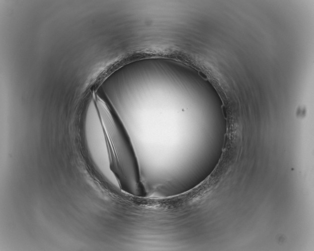 X0000091070688200709041220
