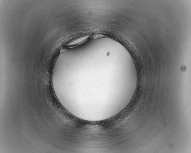 X0000091070689200709041220