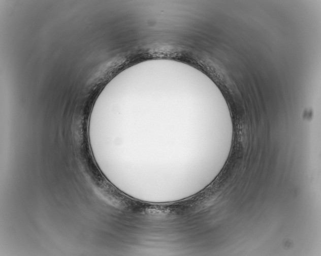 X0000091070690200709041220