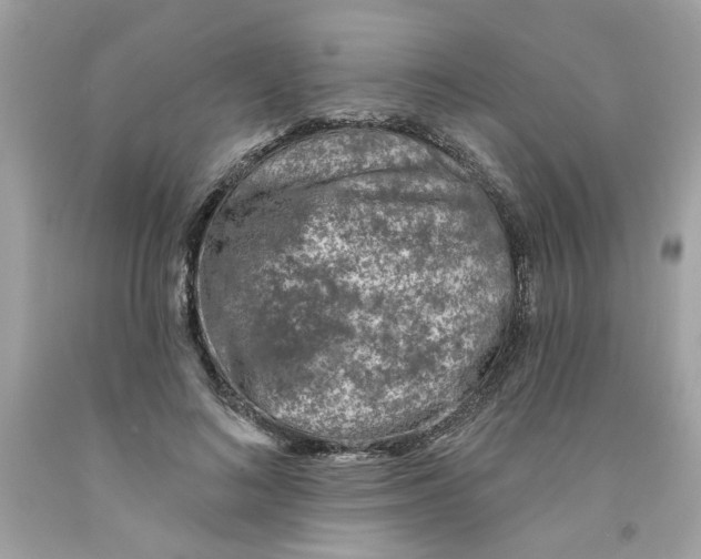 X0000091070692200709041220