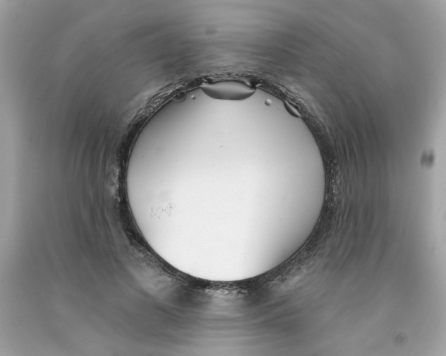 X0000091070693200709041220