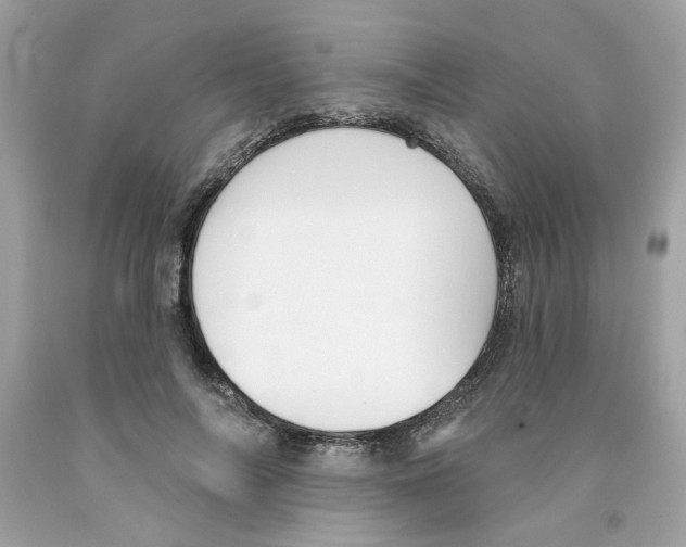 X0000091070694200709041220