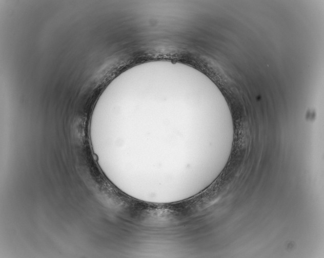 X0000091070695200709041220