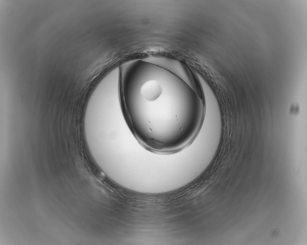 X0000091070696200709041220