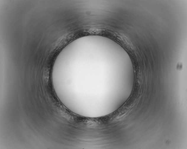 X0000091070697200709041220