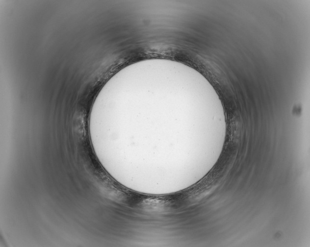 X0000091070699200709041220