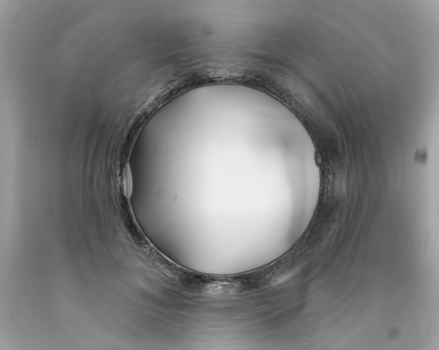 X0000091070700200709041220