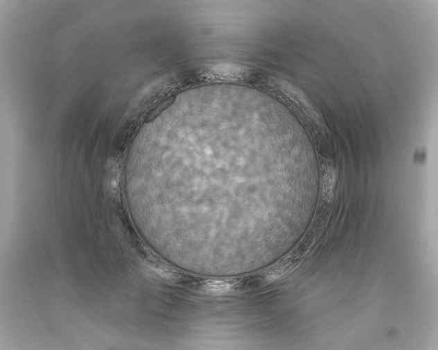 X0000091070701200709041220