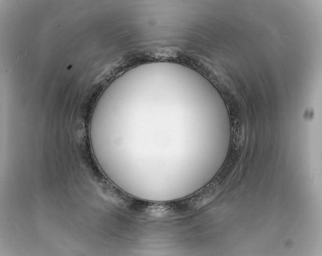 X0000091070704200709041220