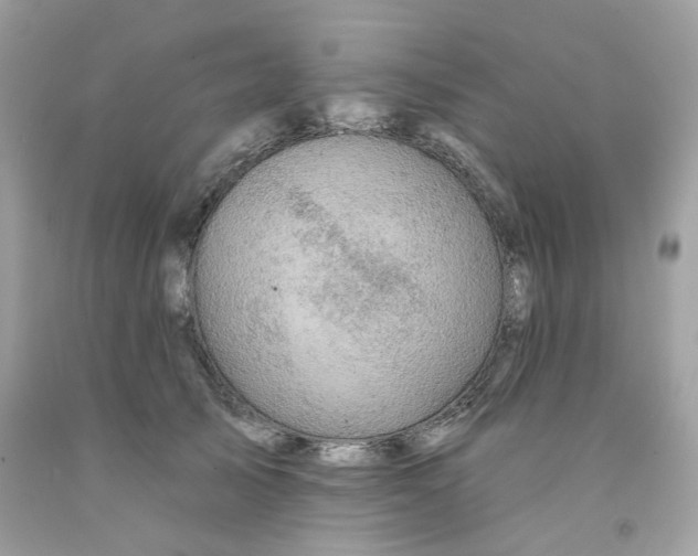 X0000091070705200709041220