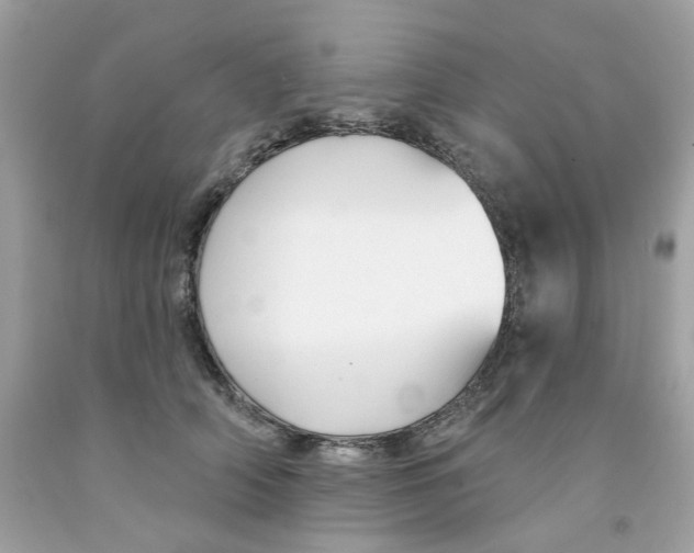 X0000091070706200709041220