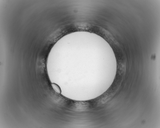 X0000091070707200709041219