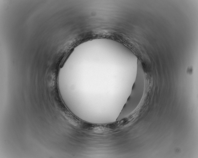 X0000091070708200709041219