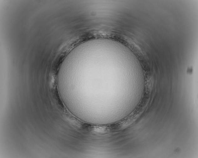 X0000091070709200709041219