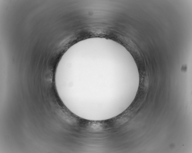 X0000091070710200709041219