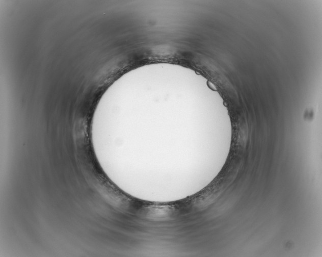 X0000091070711200709041219
