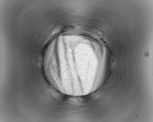 X0000091070712200709041219