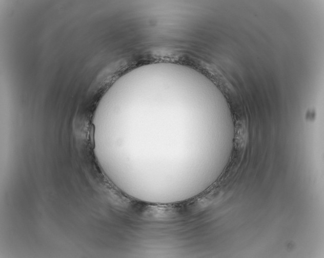 X0000091070713200709041219